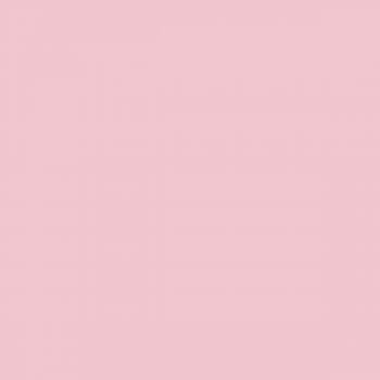 Paeonia Pink