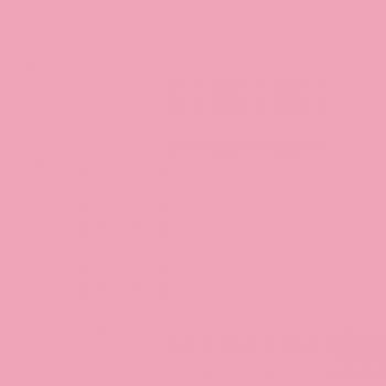 Perennial pink