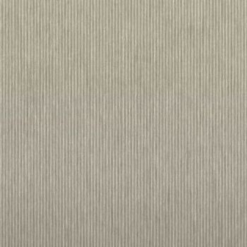 Fineline Brushed Champagne