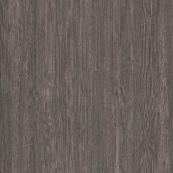 Maritime Oak