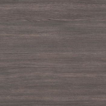 Maritime Oak