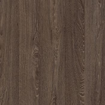 Toulouse Oak