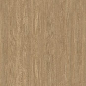 Desert Oak