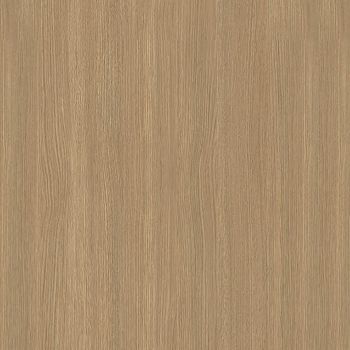 Desert Oak