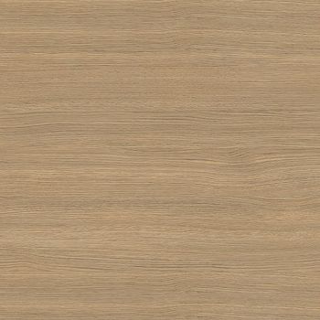 Desert Oak