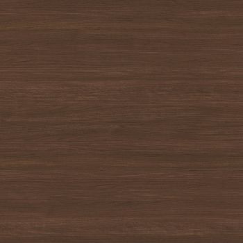 Noble Teak
