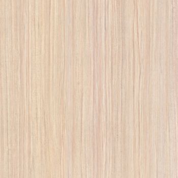 White Pine
