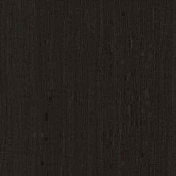Erable Wenge