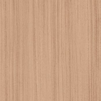 Trendy Walnut