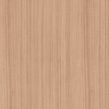 Trendy Walnut