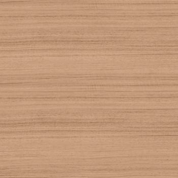 Trendy Walnut