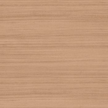 Trendy Walnut