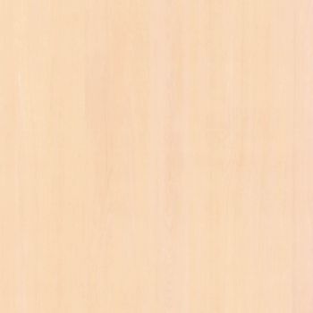 Atlantic Maple
