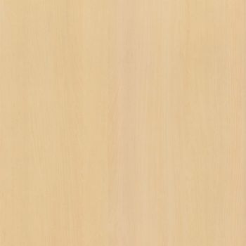 Velvet Maple