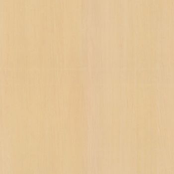 Velvet Maple