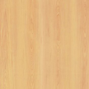 Kalmer Maple