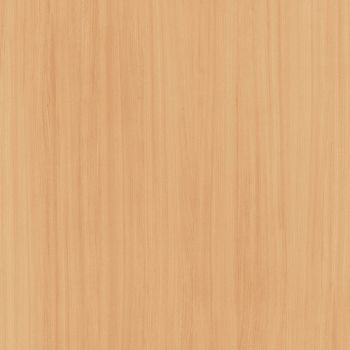 Capital Elm