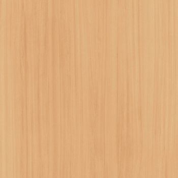 Capital Elm