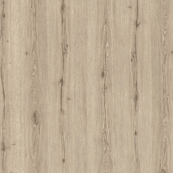 Rovere Elvezia