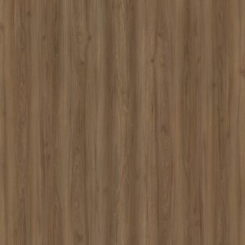 Paisley Elm