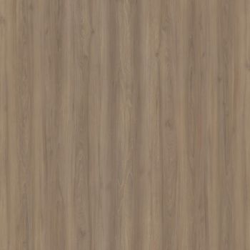 Paisley Elm