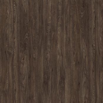 Rasputin Oak