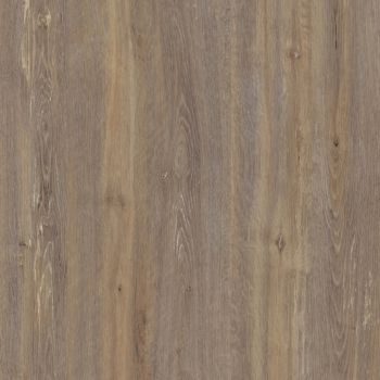 Amberg Oak