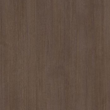 Angora Oak