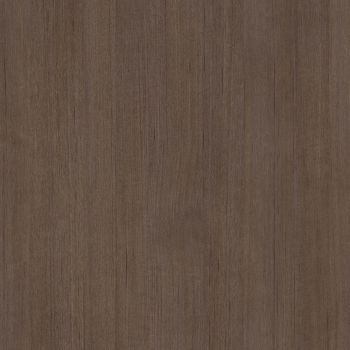 Angora Oak