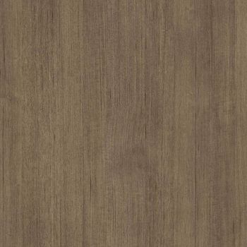 Latino Oak