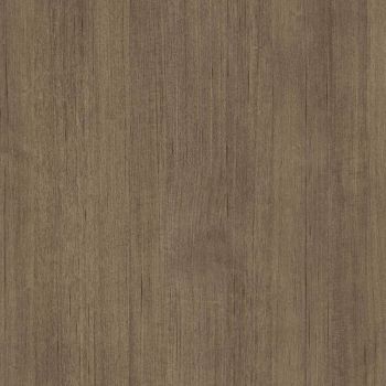 Latino Oak