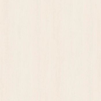 White lebanon cedar