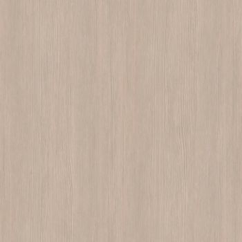 Gray lebanon cedar