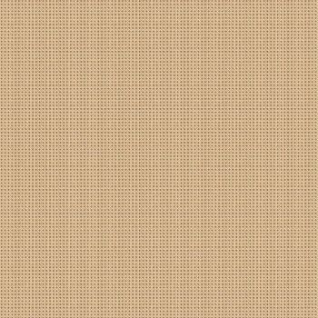 Light Rattan