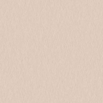 Champagne Silk