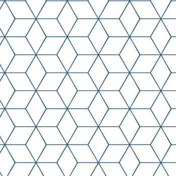 Hexagonal 11