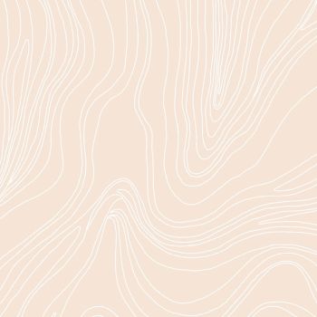 Lined Fluids 41