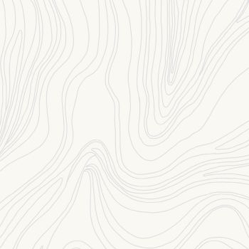 Lined Fluids 42