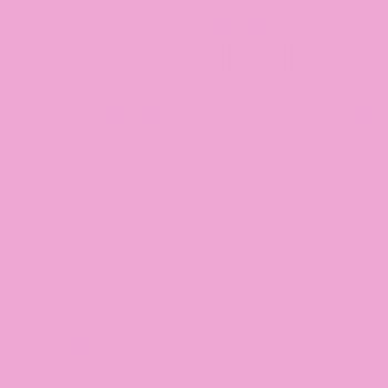 Dahlia Pink
