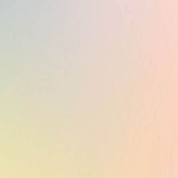 Rainbow 41