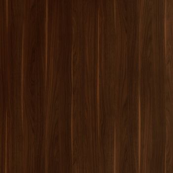 Chatkal Walnut