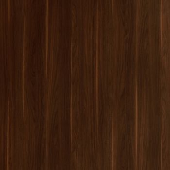 Chatkal Walnut