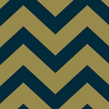Zigzag 31